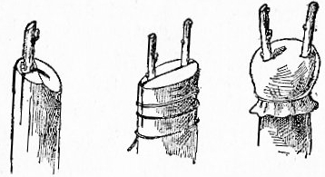 Kalemljenje u raskol
