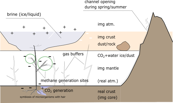 Mars surface ecosystem